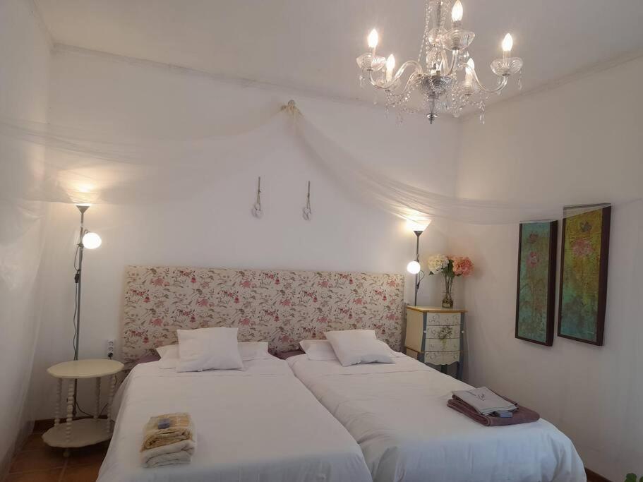 Casa De Las Lavandas, Ávila 외부 사진